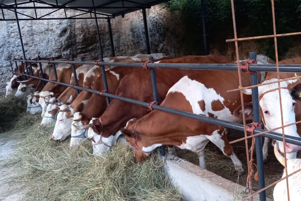 481454560_1082324557256307_3219566734791246492_n